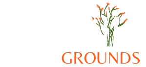 Ocotillo Ground logo