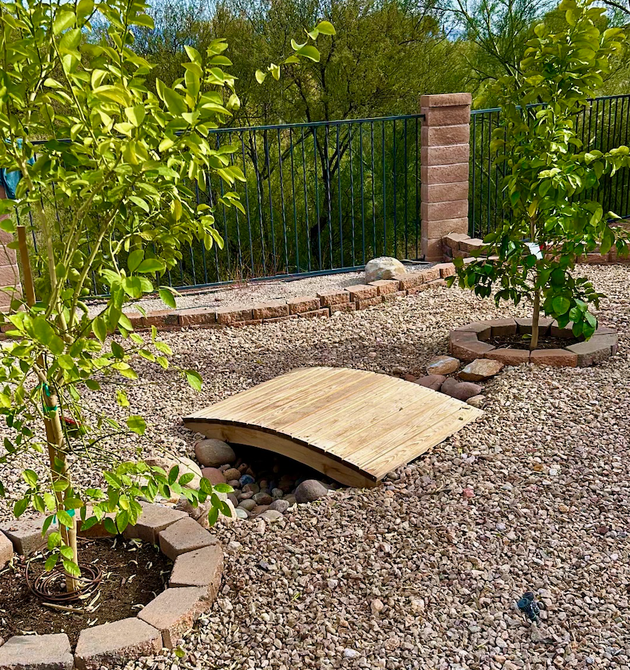 Landscaping services in Tucson, AZ